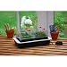 Garland New Fab 4 Electric Propagator.