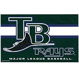 Tampa Bay Rays Youth -Authentic Collection- Cool Base Gamer Jacket - Large (14-16)