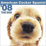 American Cocker Spaniels 2008 Calendar
