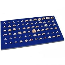 Ring Display Pad 72 Slot Jewelry Travel Blue Insert New