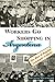 Workers Go Shopping in Argentina: The Rise of Popular Consumer Culture