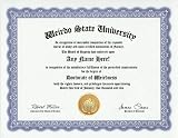 Weirdo Weirdness Being Weird Degree: Custom Gag Diploma Doctorate Certificate (Funny Customized Joke Gift - Novelty Item)