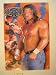 HHH Poster Mean Look Hunter Hearst Helmsley WWF Triple H