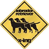 New  Labrador Retriever X-Ing / Xing Iii  Crossing Dog