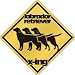 New  Labrador Retriever X-Ing / Xing Iii  Crossing Dog