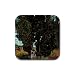 Cypresses with Two Female Figures By Vincent Van Gogh Square Coasters