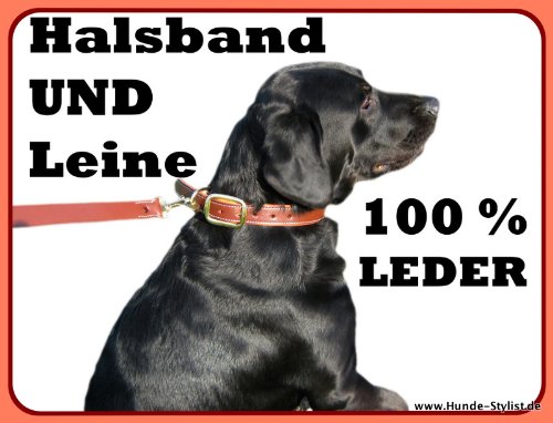 Hundehalsband und Hundeleine als Set, 100 % Büffelleder, Gr. M,