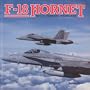 F-18 Hornet: Multi-Mission Warplane