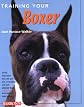Training Your Boxer