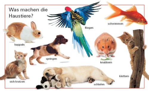 Duden Kennst du das? Die Haustiere