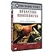 America at a Crossroads: Operation Homecoming - Writing the Wartime Experience (Edited for TV)