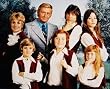 THE PARTRIDGE FAMILY 24x36 COLOR POSTER PRINT