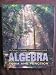 Books : Algebra: Form and Function
