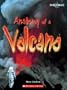 Anatomy of a Volcano (Shockwave: Earth and Physical Science)