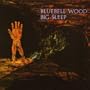 Bluebell Wood