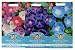 Mr Fothergill's Seeds Morning Glory Ipomoea Collection