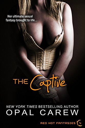 The Captive (Red Hot Fantasies Book 4)