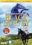 Adventures of Black Beauty: Season One