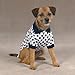 XXS Nantucket Blue Dot Dog Polo Shirt