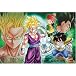 300ピース ドラゴンボールZ 成長する戦士、孫悟飯 300-172