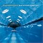 Blue Wonder Power Milk