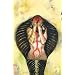 Shekhar Kapur's Snake Woman Volume 3: Tale of the Snake Charmer: Tale of the Snake Charmer v. 3