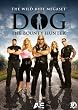 Dog the Bounty Hunter: Wild Ride Megaset