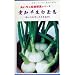 愛知の伝統野菜! 愛知早生白玉葱 5ml