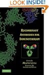 Recombinant Antibodies for Immunotherapy
