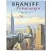 Erickson - NY Braniff Tin Sign , 12x16