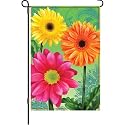 Vibrant Daisies Garden Flag