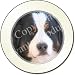 NEW-BERNNESE MOUNTAIN DOG Tax Disc Holder