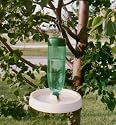 Soda Bottle Bird Bath Green