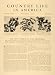 1906 Article Decorative Plants Flowers Foliage Dogwoods - Original Print Article