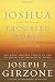Joshua in a Troubled World: A Story for Our Time
