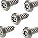 Fastenere Torx Security Sheet Metal Screws - #6 x 1-1/2