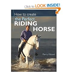 How Create Perfect Riding Horse