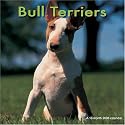 Bull Terriers 2008 Wall Calendars