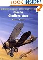 Gloster Gladiator Aces (Osprey Aircraft of the Aces)