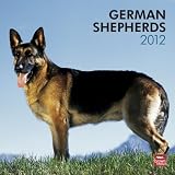 German Shepherds 2012 Square 12X12 Wall Calendar