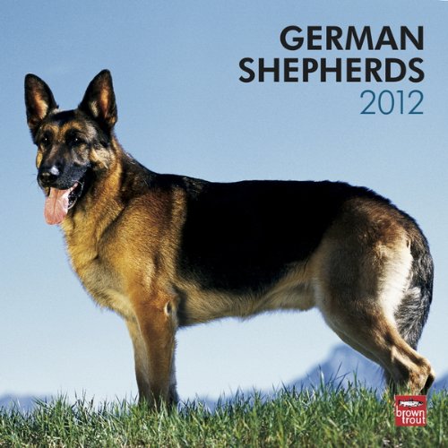 German Shepherds 2012 Square Wall Calendar