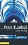 Chill Factor (Hennessey and Yellich Mysteries)