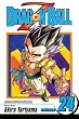 Dragon Ball Z, Vol. 24 (Dragon Ball Z (Viz Paperback))