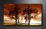 Bilder alle versandkostenfrei Nr1025 3 teiliges Bild auf Leinwand Natur , fertig gerahmt auf Keilrahmen riesig 160 cm XXL Lounge Bilder mit Bilderrahmen. Ausführung Poster Plakat Kunstdruck als Wandbild mit Rahmen. Günstiger als Ölbild oder Gemälde.