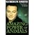 The Amazing Power of Animals