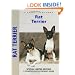 Rat Terrier: A Comprehensive Owner's Guide