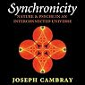 Synchronicity: Nature and Psyche in an Interconnected Universe: Carolyn and Ernest Fay Series in Analytical Psychology