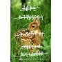 Hope: A Tragedy: A Novel by Shalom Auslander