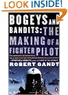 Bogeys and Bandits: The Making of a Fighter Pilot