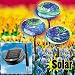 Outdoor Living : SOLAR GLOW IN DARK GARDEN LIGHTS